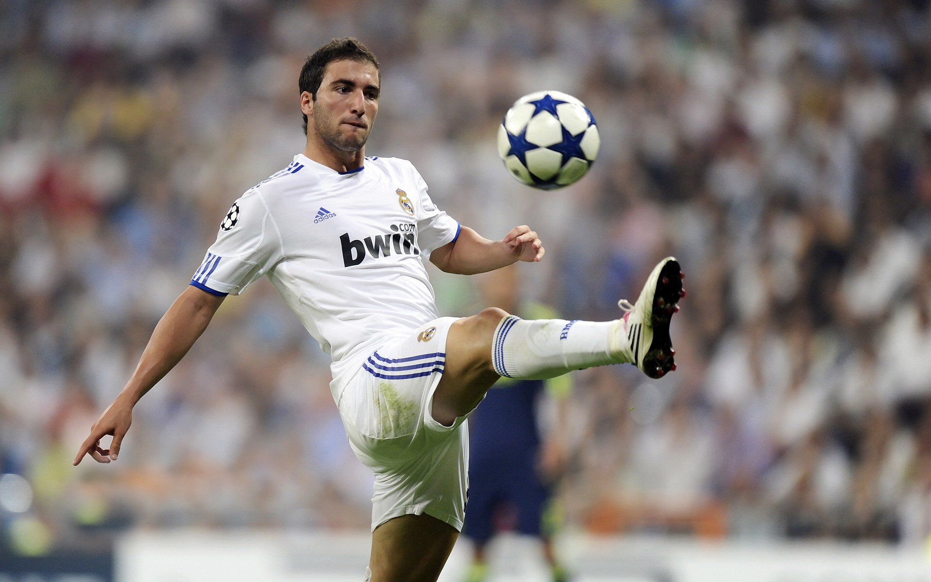 年度焦点之战，威尔士力克智利，红龙咆哮震撼橄榄球世界